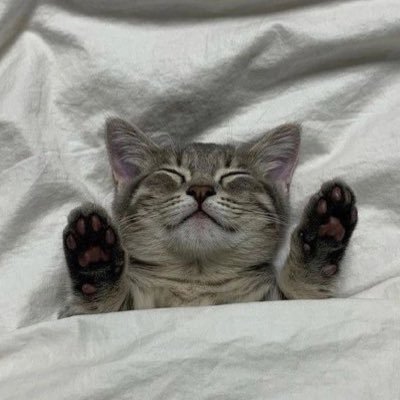 omarniawieny's profile picture. 