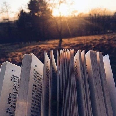 gotdangitlizzie's profile picture. Just a girl living her best life ✌️. 

https://t.co/ZI9WagBxOC