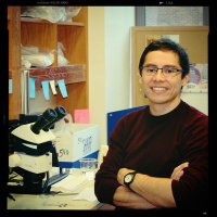 Daniel Aldea (@dialdea) 's Twitter Profile