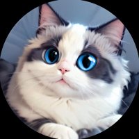 Huhu Cat Community(@HuhuCommunity) 's Twitter Profile Photo