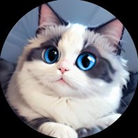 Huhu Cat Community (@huhucommunity) 's Twitter Profile