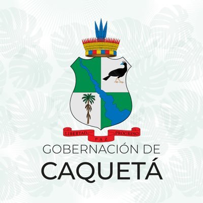 Gobernación del Caquetá Profile