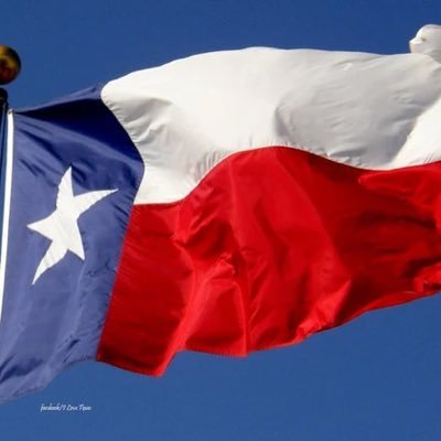 Texas transplant fighting for a free Texas | #TEXIT | 🚫 All porn/spam follows will be blocked 🚫