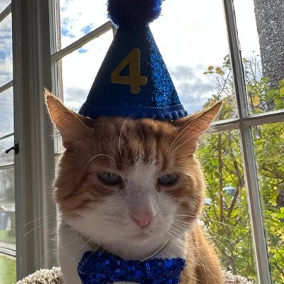 wwdefender13's profile picture. white woman defender