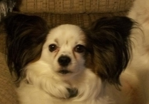 melody_noland's profile picture. 