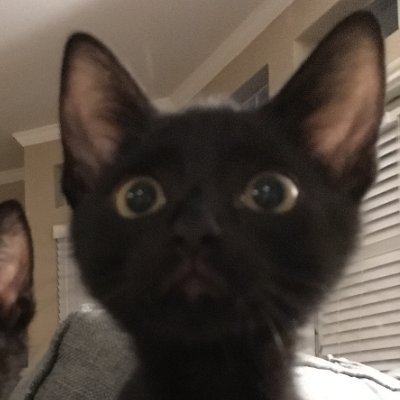 thebusygroup's profile picture. https://t.co/t59lKHYacO…
Fan of SXSW, Lincoln Center, and NYFF Fest
