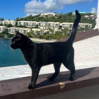 buddyboozer's profile picture. The truth hurts! #MAGA all the way!  I still love all you idiots voting for the democrats…but damn y’all are retarded!  our world is amazing! Don’t fuck it up!