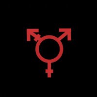 Transfeminismo Marginal(@transm4terial) 's Twitter Profile Photo