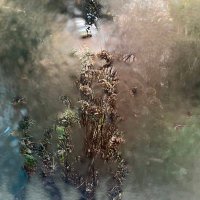 ALYA L (@alyaaaaaal) 's Twitter Profile
