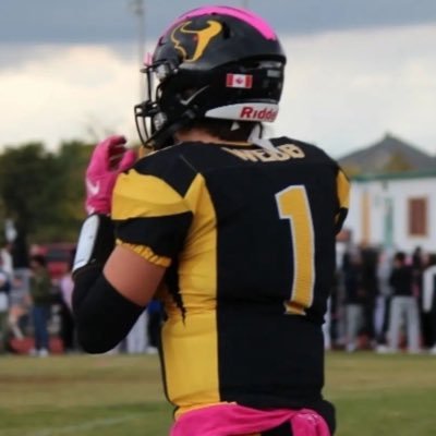 Highschool QB/ 6”3 205 LBS / Born 2005 18 years old / #1 / dual threat /