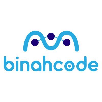 Binahcode's profile picture. Ingeniería Informática