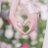 AA8969075773050's profile image