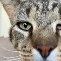 Thor (@thor542753) 's Twitter Profile
