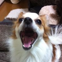 魁!押す男塾👺スロ🌺🤡麻雀🀄️ (@mb2gmg) 's Twitter Profile