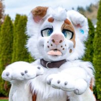 C R U S Hπ (@crushtufts) 's Twitter Profile Photo C R U S Hπ (@crushtufts) 's Twitter Profile Photo