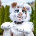 C R U S H๐ (@crushtufts) Twitter profile photo C R U S H๐ (@crushtufts) Twitter profile photo