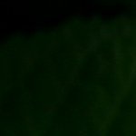 Elagariomob's profile picture. 