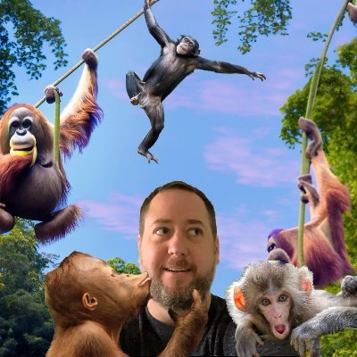 Award winning Editor of trailers, promos, TV spots, and dreams.
Check out my reel at the link down below!
You can also find me at @eightiesbangs.bsky.social