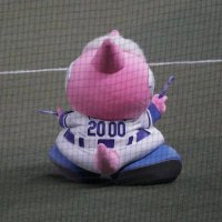 ぴーちゃん (@nekochan__ooo) 's Twitter Profile