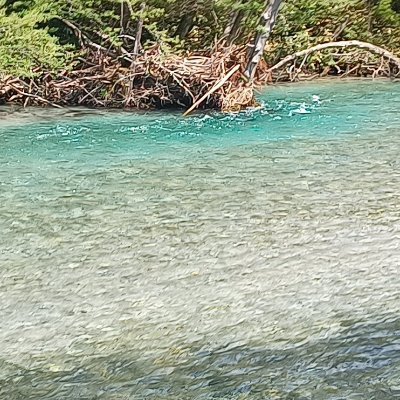 会社員。旅先の風景、日常の動植物写真を載せていきます。

X　 https://t.co/qyMtMlAsHL 
Instagram  https://t.co/F6GLzQwu6I