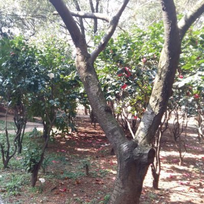 webweb200101's profile picture. 