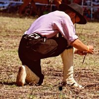 bau_tiistaa (@blabosca) 's Twitter Profile