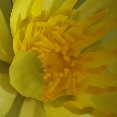 puertaamarilla2's profile picture. 