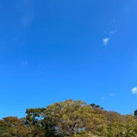 yoyo (@yoyo_yoyo115) 's Twitter Profile