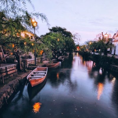 manar__alsalem's profile picture. 