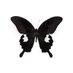 The Cult Family (@thecultfamily) Twitter profile photo The Cult Family (@thecultfamily) Twitter profile photo
