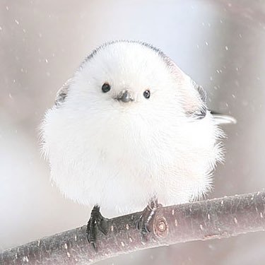 霞さんのプロフィール画像