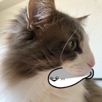 にぃと (@2110mdams) 's Twitter Profile Photo