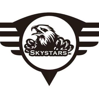 skystars_eth's profile picture. 