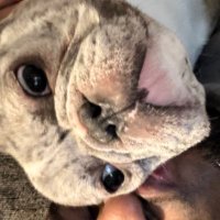CryptoJay (@moorexrp) 's Twitter Profile Photo CryptoJay (@moorexrp) 's Twitter Profile Photo
