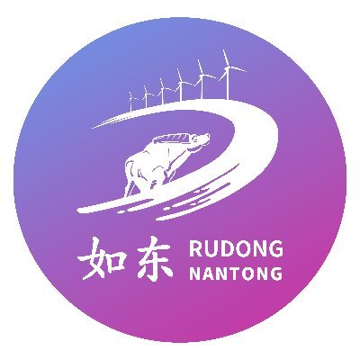 RudongNantong Profile Picture