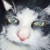 CayCay (@theyyluvdew) Twitter profile photo