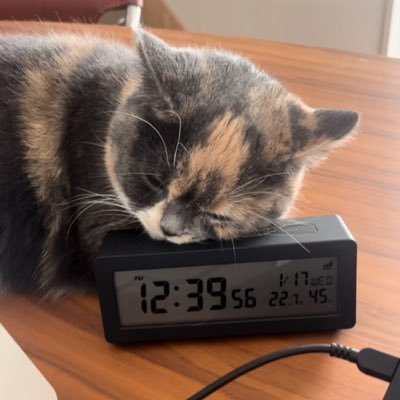 John_Smith_2000's profile picture. 帝国陸軍🌸、ヤクザ、アウトレイジ、ビートたけし、綾野剛、愛猫マンチカン♀🐈アイドルキャリア♬