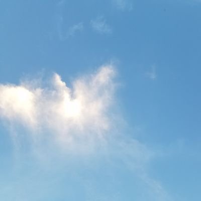 yayaranmaru's profile picture. 