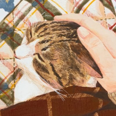 安藤結衣さんのプロフィール画像