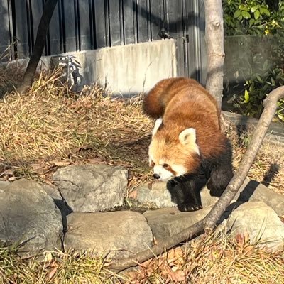 とりとめのないつぶやきですが、よろしくお願いします😆Aimer,milet,澤野弘之ファン。90〜00年代の洋楽も好きです！あとスポーツ全般👍無言フォロー失礼します🙇🏻‍♂️