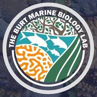 Burt Marine Biology Lab(@NYUADMarineBio) 's Twitter Profile Photo