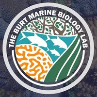 Burt Marine Biology Lab (@nyuadmarinebio) 's Twitter Profile Photo Burt Marine Biology Lab (@nyuadmarinebio) 's Twitter Profile Photo