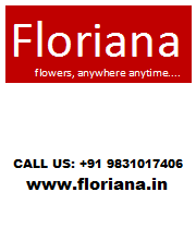 Florianaflowers's profile picture. FLORIANA is leading florists in India.We deliver flowers all over India.FLORIANA have a commitment of making flower delivery possible in more than 250 cities.