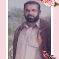 Malik Muhammad Siddiq(@MalikMuham96769) 's Twitter Profile Photo