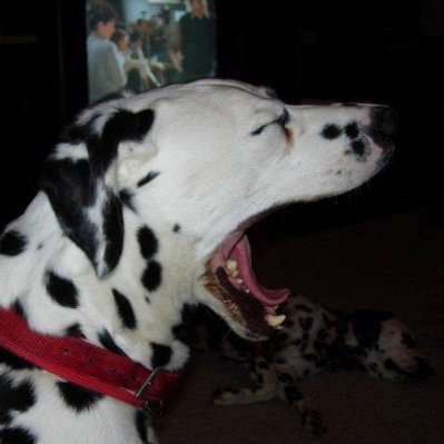 JLakness's profile picture. FHE/ZK/MPC, C++/Rust/Python, DeFi Degen, Dad. Former Lives: Intel, SpecOps, Ironman, Chippendales. 10% dumber than GPT-4 on random MMLU, so #DYOR and #DWTFYWTD