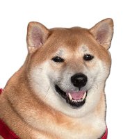 Fat Space Cat Studios (@fatspacecat22) 's Twitter Profile