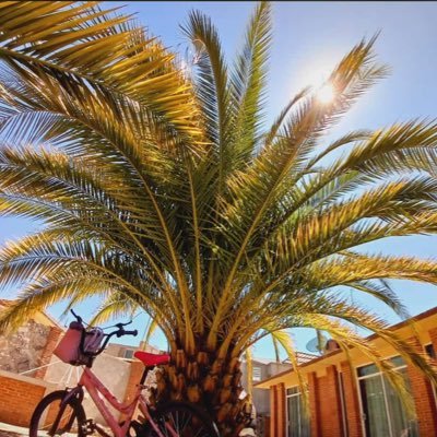 queendana97's profile picture. 