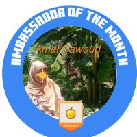 Amal Dawoud(@AmalDawoud20503) 's Twitter Profile Photo