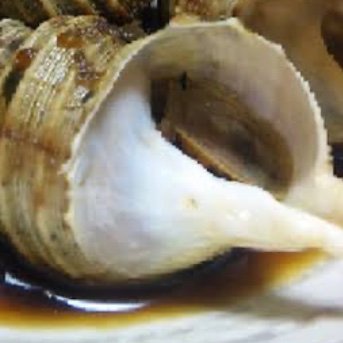 KZhongcun47454's profile picture. 