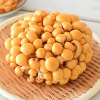 1173kooooi's profile picture. 